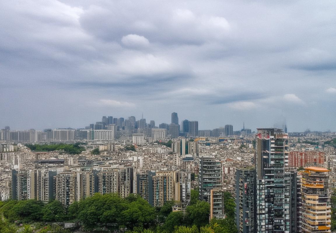 2004巴西爱尔兰友谊赛：足球盛宴与文化交融(图6)